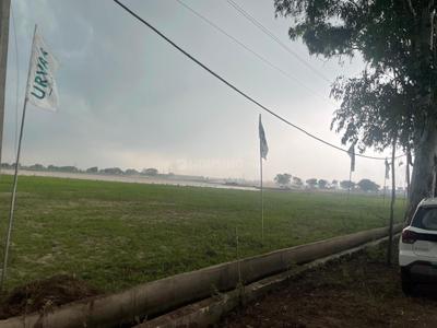 Image of 1125 Sq.ft Residential Plot / Land for sale in Rajpura, Patiala for Rs. 4112500