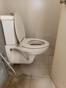 Common Bathroom Image of 560 Sq.ft 1 BHK Apartment / Flat for sale in Godrej Horizon, Mohammed Wadi Pune for Rs. 3250000