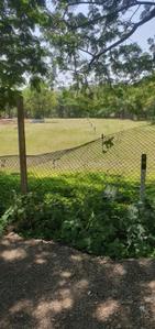 Image of 2000 Sq.ft Residential Plot / Land for sale in Treetopia Phase 3, Jadhavwadi, Saswad, Pune for Rs. 8900000