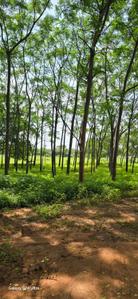 Image of 9000 Sq.ft Residential Plot / Land for sale in Kamsanpalle, Narayanpet for Rs. 7500000
