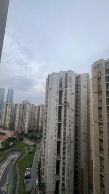 Image of 1285 Sq.ft 3 BHK Apartment / Flat for rent in Paras Tierea, Sector 137, Noida for Rs. 25000