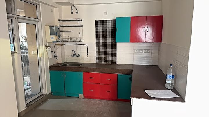 Exotica Dreamville Main Image 1