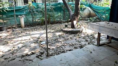 Bathroom Image of 600 Sq.ft 1 BHK Apartment / Flat for rent in Rakshalekha Society, Koregaon Park Pune for Rs. 30000