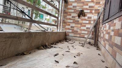Image of 1100 Sq.ft 2 BHK Builder Floor for rent in DDA Akshardham Apartments, Sector 19 Dwarka, New Delhi for Rs. 25000