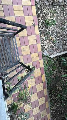 Image of 600 Sq.ft 1.5 BHK Apartment / Flat for sale in Karia Konark Nagar Phase 1, Viman Nagar, Pune for Rs. 8100000