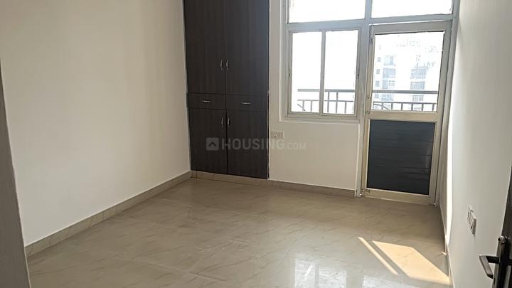 Saviour Iris - Image 4