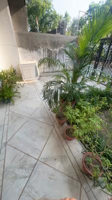 Image of 1500 Sq.ft 3 BHK Builder Floor for rent in Sector 50, Noida for Rs. 40000