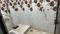Lamhi Bathroom 1