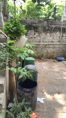 Image of 7686 Sq.ft 5 BHK Villa for sale in Thaltej, Ahmedabad for Rs. 280000000