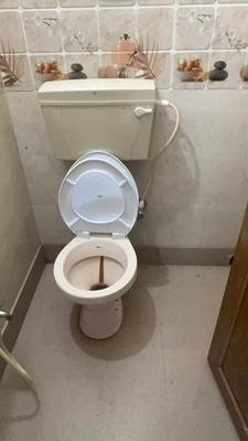 Image of 1150 Sq.ft 3 BHK Apartment / Flat for rent in Keshtopur, Kolkata for Rs. 17000