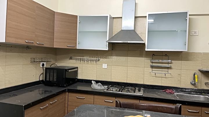 Pride Purple Park Springs Main Image 1