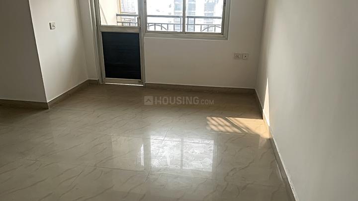 Saviour Iris - Image 3