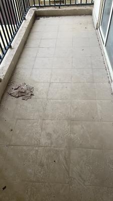 Image of 700 Sq.ft 2 BHK Apartment / Flat for sale in GLS South Avenue, Sector 92, Gurgaon for Rs. 5600000