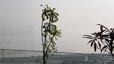 Image of 4500 Sq.ft 4 BHK Apartment / Flat for sale in Bandra West, Mumbai for Rs. 260000000