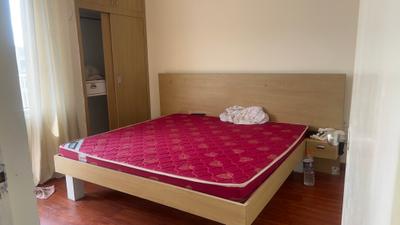 Bedroom Image of 520 Sq.ft 1 RK Apartment / Flat for rent in Habitech Panchtatva Phase 1, Noida Extension Greater Noida for Rs. 18990