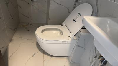 Bathroom Image of 240 Sq.ft 1 RK Apartment / Flat for sale in Balewadi Pune for Rs. 3400000