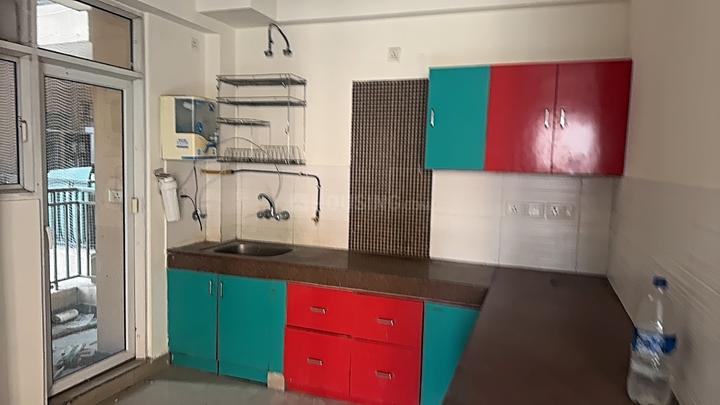 Exotica Dreamville Main Image 1