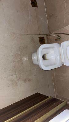 Image of 1799 Sq.ft 3 BHK Apartment / Flat for rent in Smartworld Orchard, Sector 61, Gurgaon for Rs. 58100