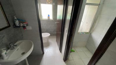 Bathroom Image of 600 Sq.ft 1 BHK Apartment / Flat for rent in Amrapali Dream Valley 2, Noida Extension Greater Noida for Rs. 23000