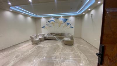 Living Room Image of 2412 Sq.ft 4 BHK Builder Floor for sale in Gujranwala Town New Delhi for Rs. 52500000