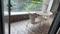 RWA Indirapuram Main Image 1