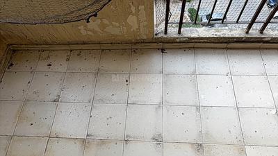 Bedroom Image of 1300 Sq.ft 3 BHK Apartment / Flat for sale in Mahagun Puram Phase 1, Mahagunpuram Ghaziabad for Rs. 7950000