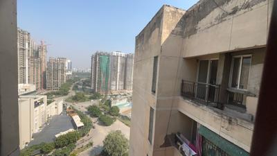Living Room Image of 980 Sq.ft 2 BHK Apartment / Flat for rent in Jaypee Kosmos, Sector 134 Noida for Rs. 24000