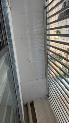 Image of 2000 Sq.ft 2 BHK Penthouse for sale in Applewoods Township, Shela, Ahmedabad for Rs. 7000000
