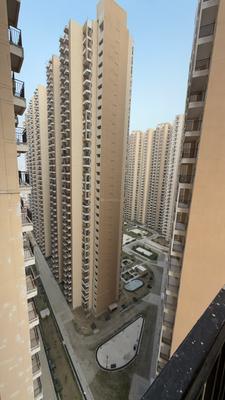 Image of 1250 Sq.ft 3 BHK Apartment / Flat for rent in Amrapali Verona Heights, Noida Extension, Greater Noida for Rs. 21900