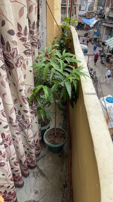 Image of 1200 Sq.ft 3 BHK Apartment / Flat for sale in General Ganj, Kanpur for Rs. 4299999