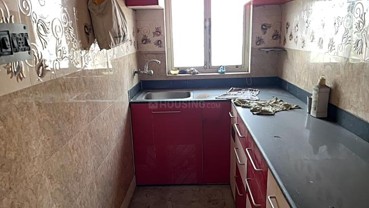 Shibbari Main Image 1