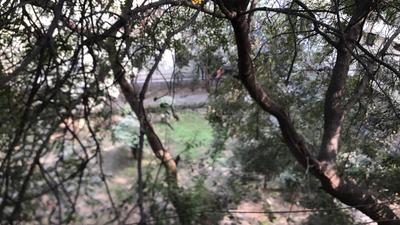 Image of 850 Sq.ft 2 BHK Apartment / Flat for sale in Paschim Vihar, New Delhi for Rs. 6000000