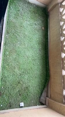 Image of 723 Sq.ft 2 BHK Apartment / Flat for rent in Kanakia Samarpan, Borivali East, Mumbai for Rs. 52000