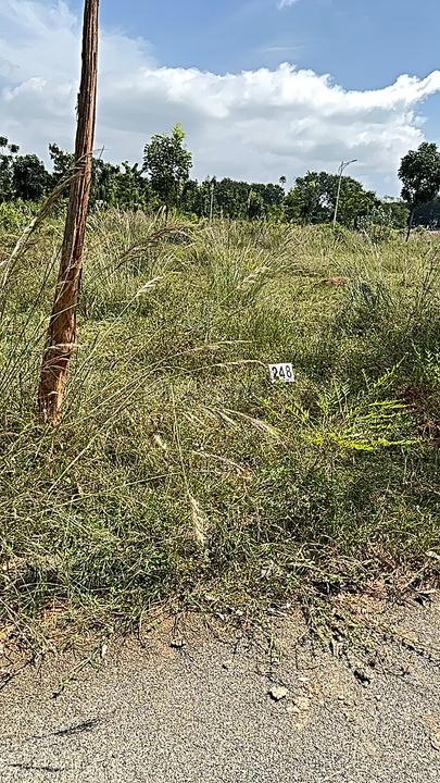 KNS Nester Main Image 1