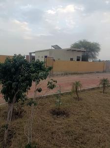 Image of 648 Sq.ft Residential Plot / Land for sale in Govardhan, Mathura for Rs. 630000