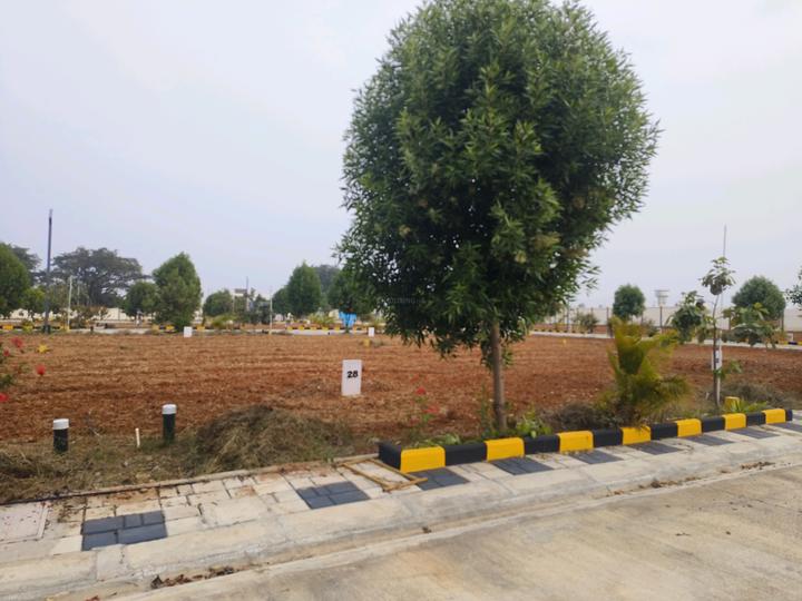 Manana Ashraya attibele Main Image 1