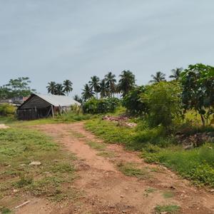 Image of 900 Sq.ft 1.5 BHK Farm House for sale in Perundurai, Erode for Rs. 200000