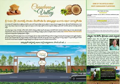 Image of 1308 Sq.ft Residential Plot / Land for sale in Paatha Kadapa, Kadapa for Rs. 750000