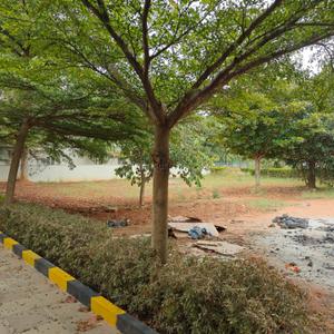 Image of 3500 Sq.ft Residential Plot / Land for sale in Sammys Beverly Hills, Hosahalli, Bengaluru for Rs. 50700000