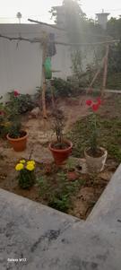 Image of 2000 Sq.ft 5 BHK Independent House for sale in Maswani, Fatehpur for Rs. 11500000
