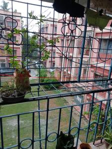 Balcony Image of 760 Sq.ft 2 BHK Apartment / Flat for sale in Maa Sarda Complex, Harinavi Kolkata for Rs. 3500000