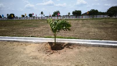 Image of 300 Sq.ft Residential Plot / Land for sale in Ponnekallu, Guntur for Rs. 5400000