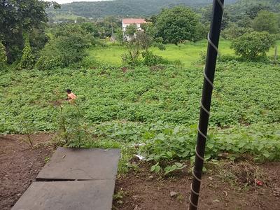 Devadi Plot View 3