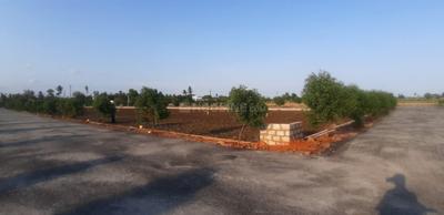 Image of 1350 Sq.ft Residential Plot / Land for sale in NMR NMR Sai Chandana Gardens, Pedaogirala, Krishna for Rs. 1875000