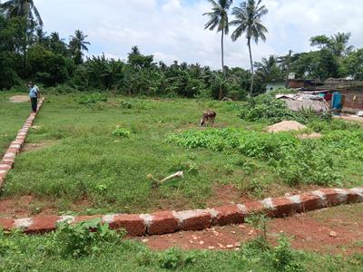 MS Developers Plot View 1