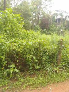 Image of 7840 Sq.ft Residential Plot / Land for sale in Kalletumkara, Thrissur for Rs. 7020000