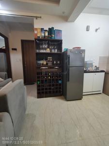 Hall Image of 1000 Sq.ft 2 BHK Builder Floor for rent in Sector 14 Gurgaon for Rs. 32000