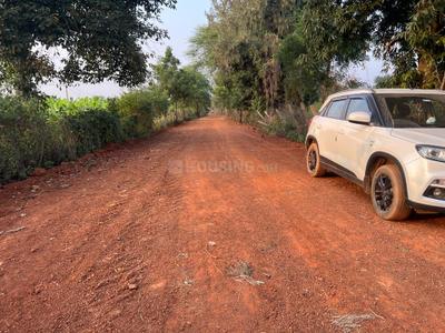 Floor Plan Image of 10000 Sq.ft Residential Plot / Land for sale in Datrenga Raipur for Rs. 4450000