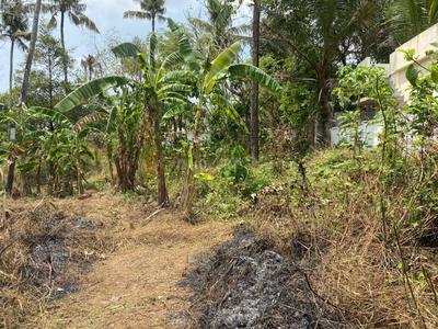 Image of 11761 Sq.ft Residential Plot / Land for sale in Ollur, Thrissur for Rs. 16500000