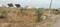 Jagatpura Plot View 2